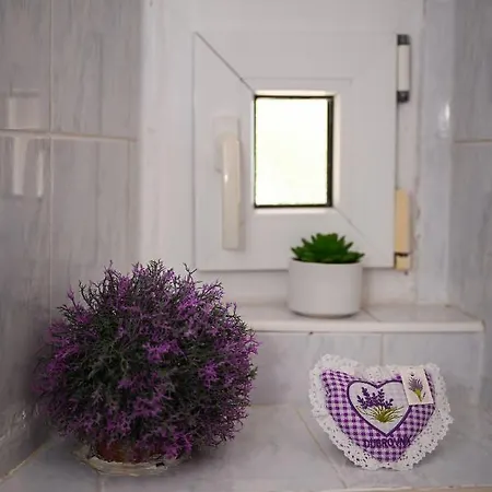Nada Dubrovnik